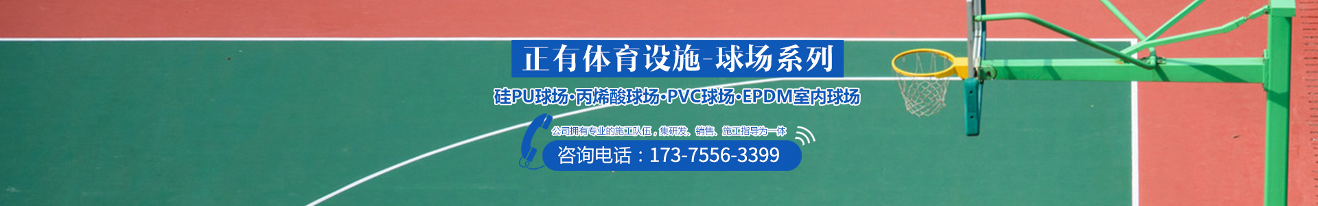 湖南正有體育設(shè)施有限公司 湖南正有體育設(shè)施有限公司